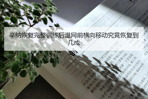 xin-na-hui-fu-wan-zheng-xun-lian-hou-wen-wang-qian-heng-xiang-yi-dong-jiu-jing-hui-fu-dao-ji-cheng-2-268.jpg