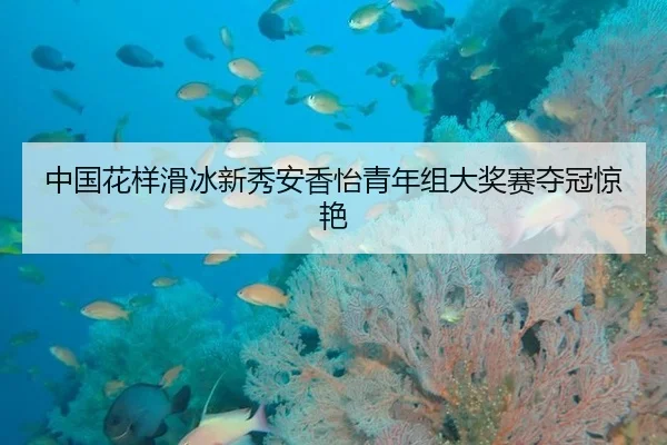 中国花样滑冰新秀安香怡青年组大奖赛夺冠惊艳