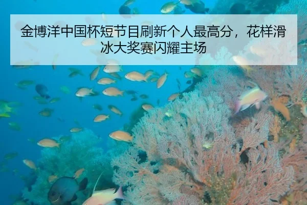 jin-bo-yang-zhong-guo-bei-duan-jie-mu-shua-xin-ge-ren-zui-gao-fen-hua-yang-hua-bing-da-jiang-sai-shan-yao-zhu-chang-2-341.jpg