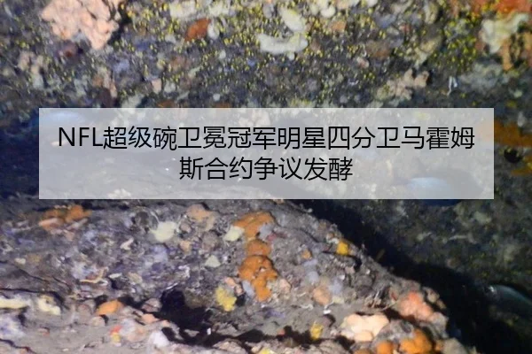 chao-ji-wan-wei-mian-guan-jun-ming-xing-si-fen-wei-ma-huo-mu-si-he-yue-zheng-yi-fa-jiao-2-245.jpg