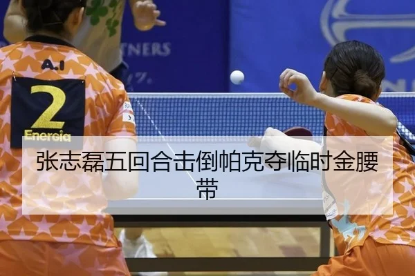 zhang-zhi-lei-wu-hui-he-ji-dao-pa-ke-duo-lin-shi-jin-yao-dai-3-429.jpg