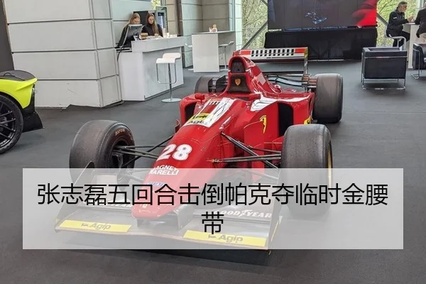 张志磊五回合击倒帕克夺临时金腰带